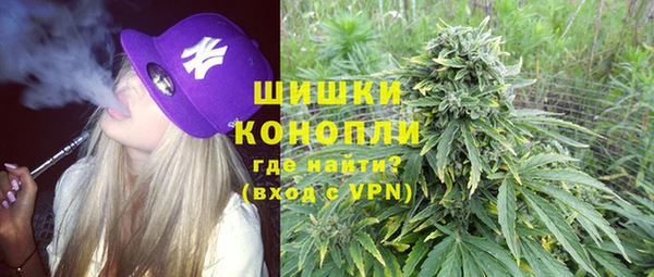 тгк Медвежьегорск