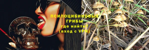 тгк Медвежьегорск