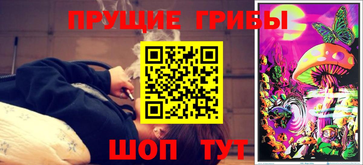 Псилоцибиновые грибы Cubensis  Псилоцибиновые грибы Magic Shrooms  Калининград 