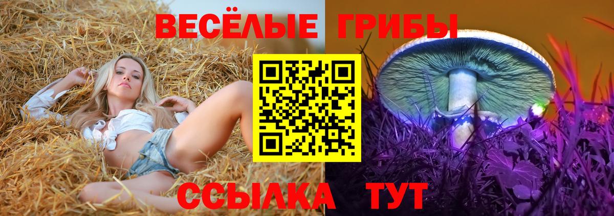 Галлюциногенные грибы Cubensis Калининград