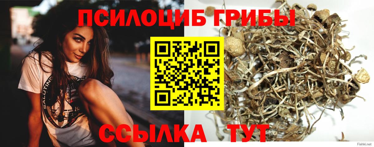 Галлюциногенные грибы мицелий  Вход с VPN  Калининград 